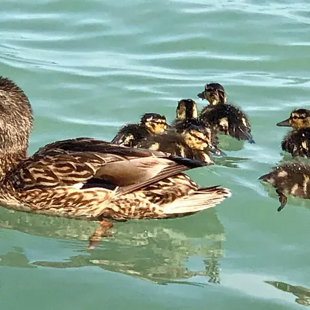 Apartamento Sunset By The