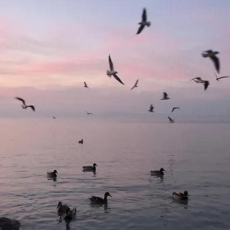 Sunset By The Apartamento *