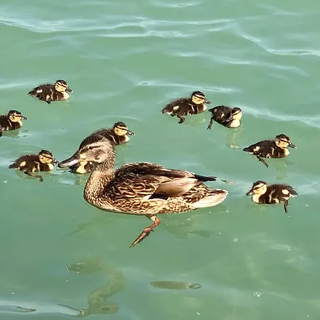 Sunset By The Apartamento