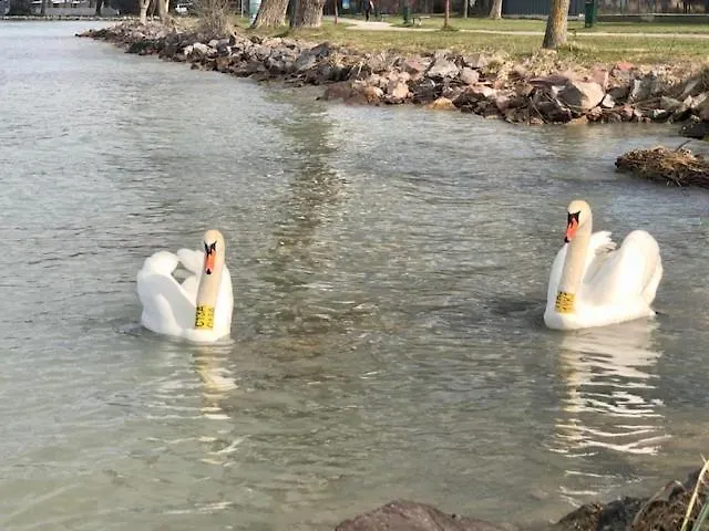 דירה Sunset By The