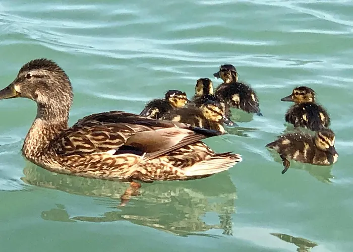 דירה Sunset By The