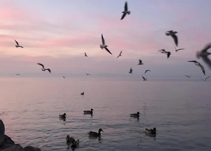 Sunset By The דירה *