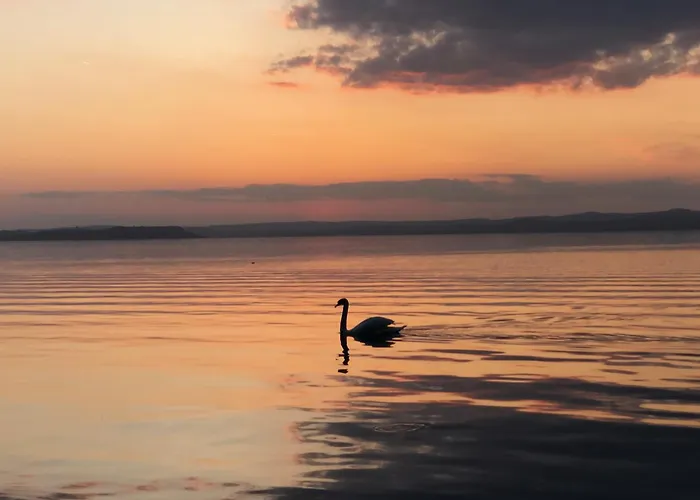 Sunset By The דירה